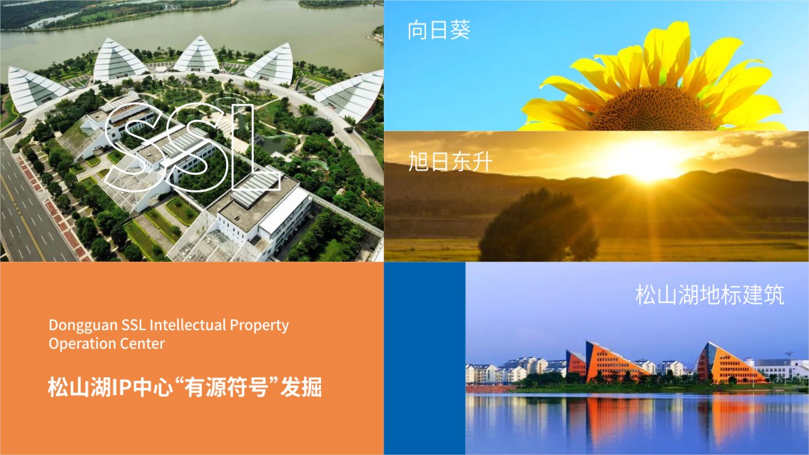 東莞VI設(shè)計(jì),松山湖VI設(shè)計(jì),IP中心VI設(shè)計(jì)